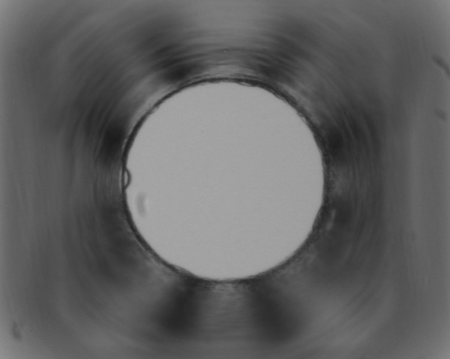 X0000091731322200709071450