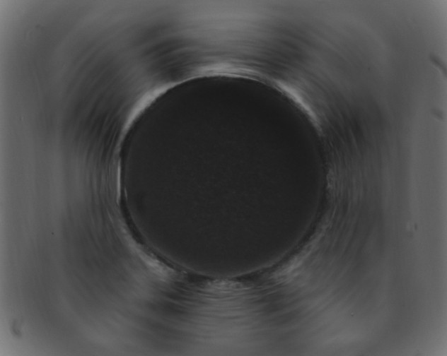 X0000091731323200709071450