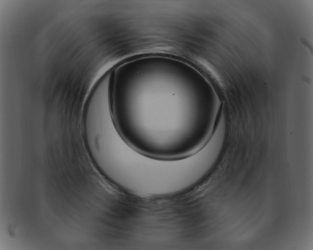 X0000091731324200709071450