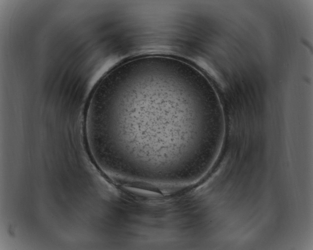 X0000091731325200709071450