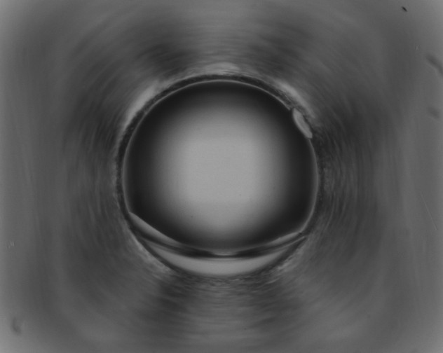 X0000091731326200709071450