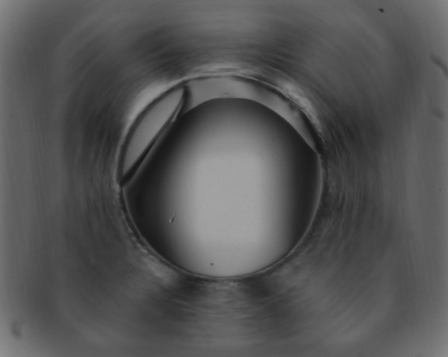 X0000091731328200709071450