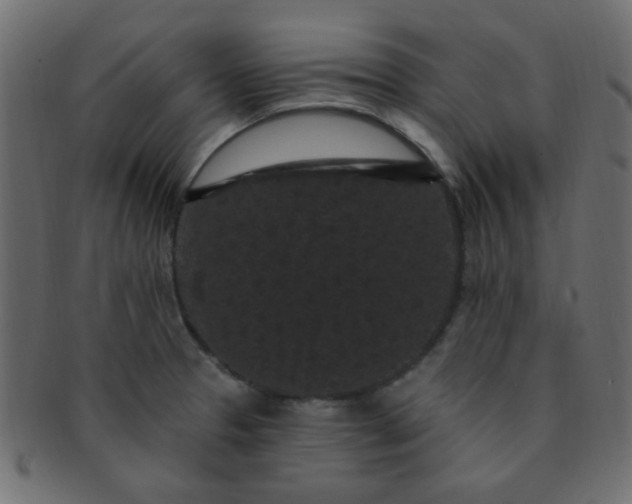 X0000091731329200709071450