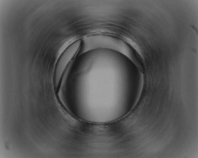 X0000091731330200709071450