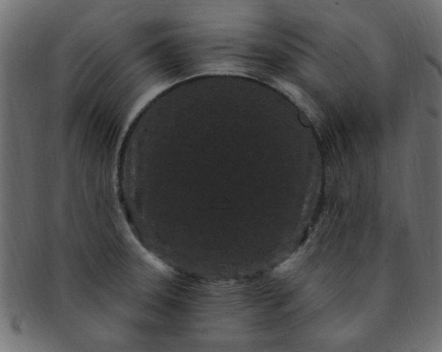 X0000091731331200709071450