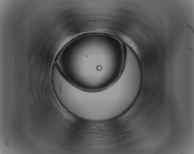 X0000091731332200709071450