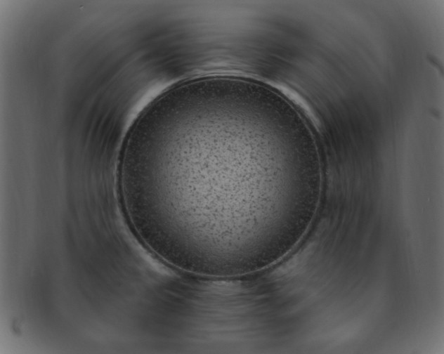 X0000091731333200709071450