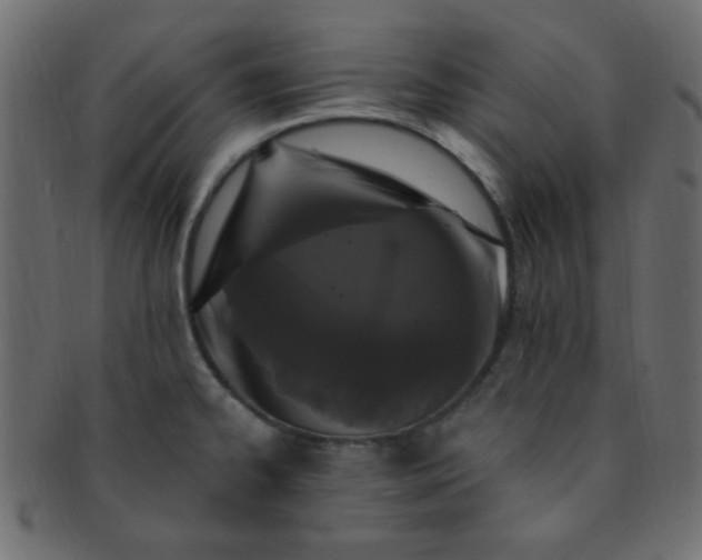 X0000091731334200709071450