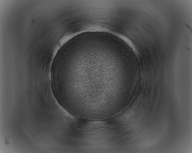 X0000091731335200709071450