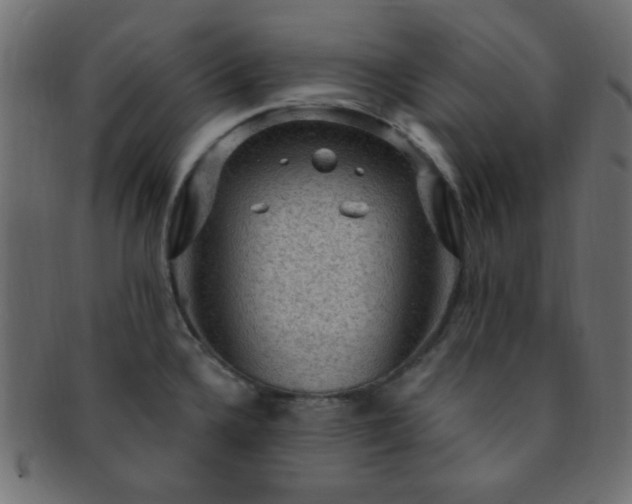 X0000091731336200709071450