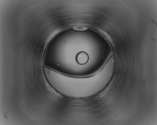 X0000091731338200709071451