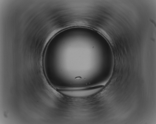 X0000091731339200709071451