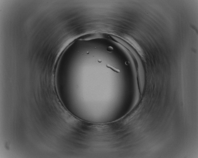 X0000091731340200709071451