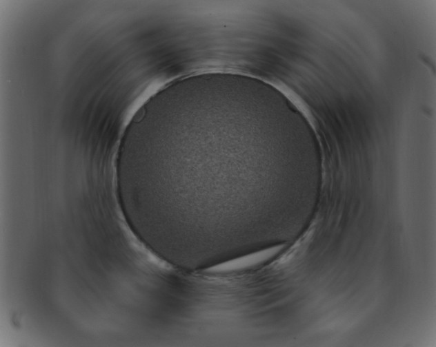 X0000091731341200709071451