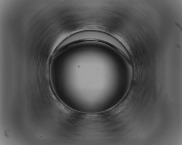 X0000091731342200709071451