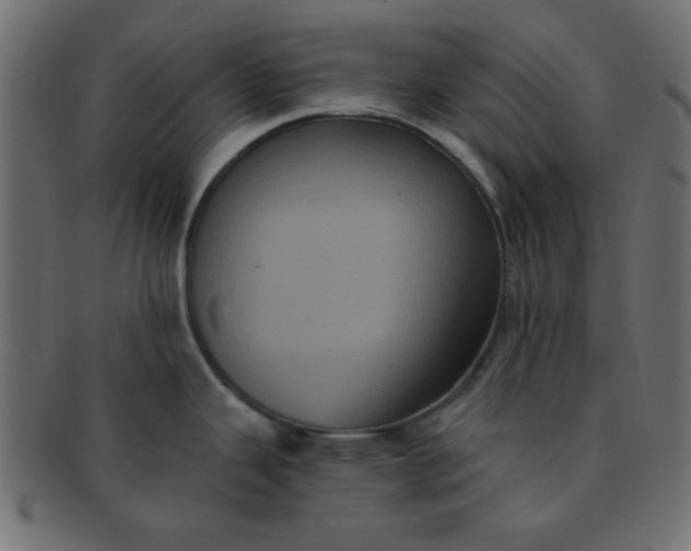 X0000091731343200709071451