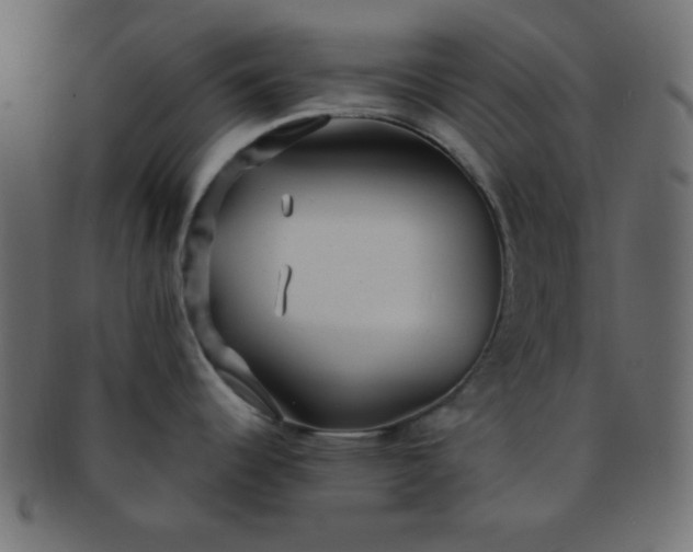 X0000091731344200709071451