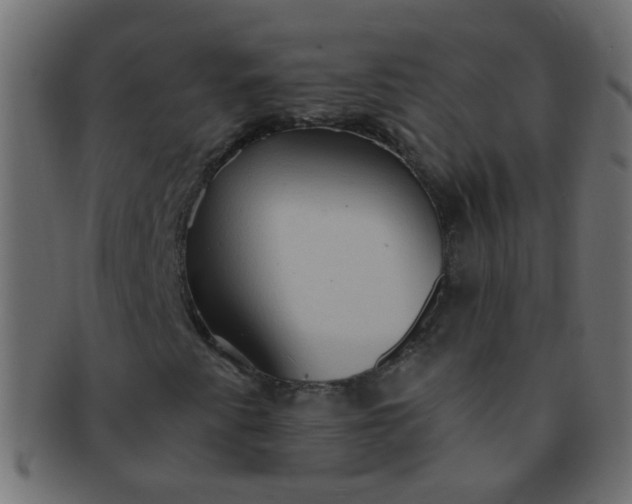 X0000091731345200709071450