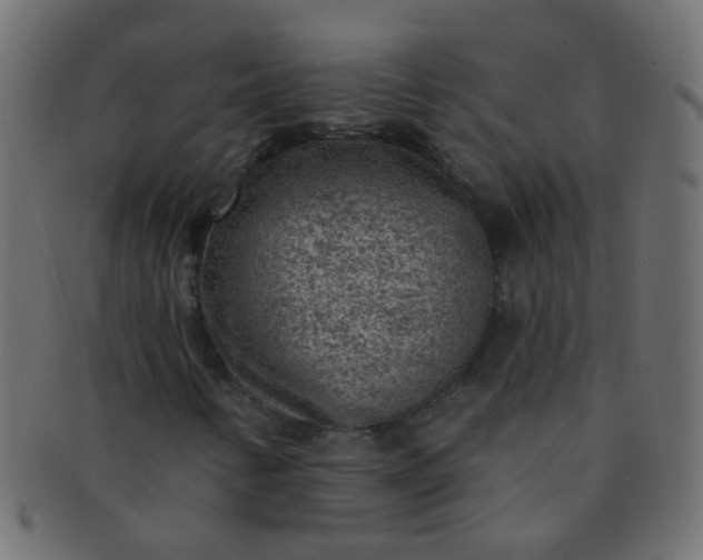 X0000091731346200709071450