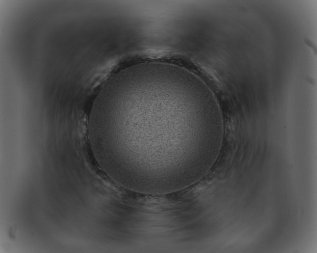 X0000091731349200709071450