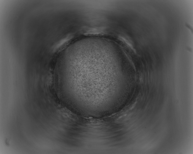 X0000091731350200709071450