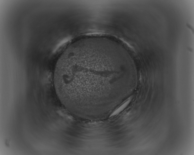 X0000091731351200709071450