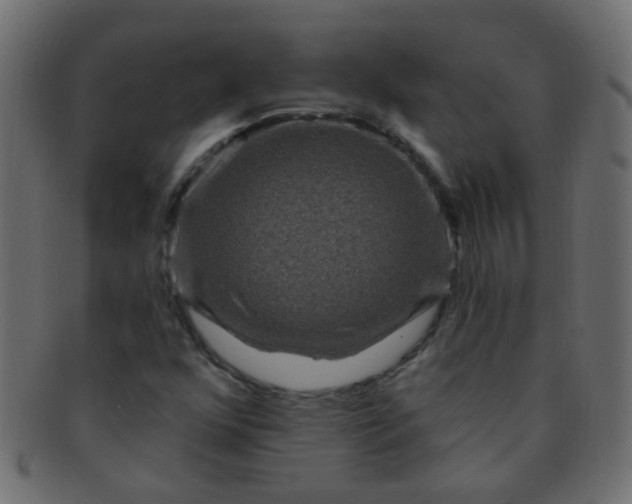 X0000091731352200709071450