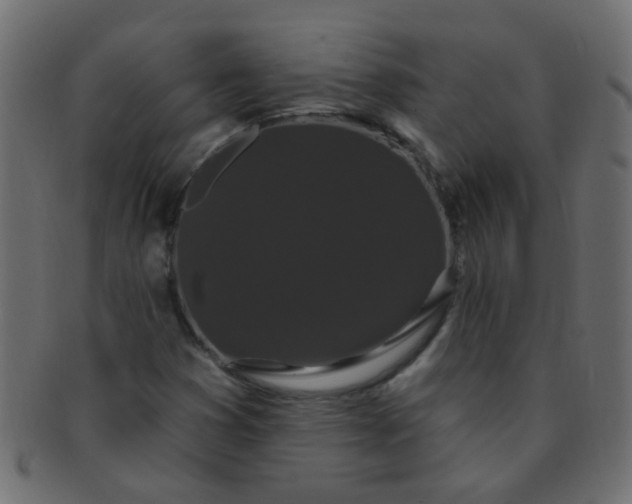 X0000091731353200709071450