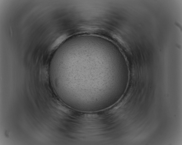 X0000091731354200709071450