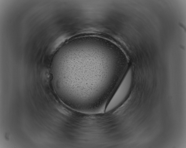 X0000091731355200709071450