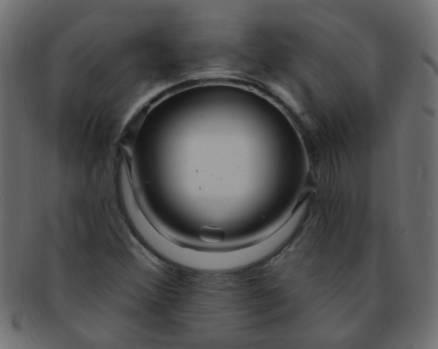 X0000091731356200709071450