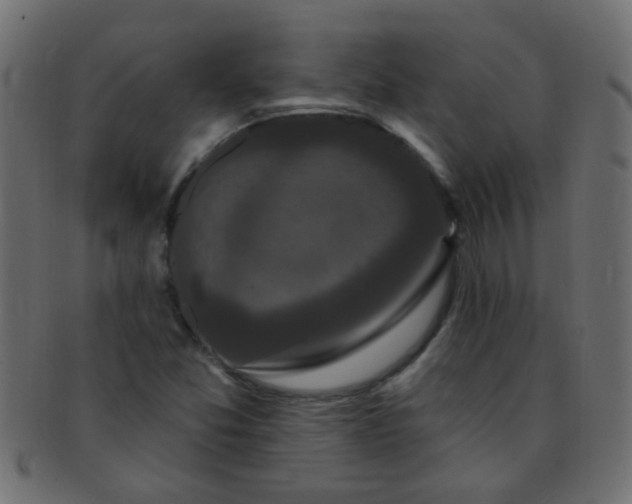 X0000091731357200709071450