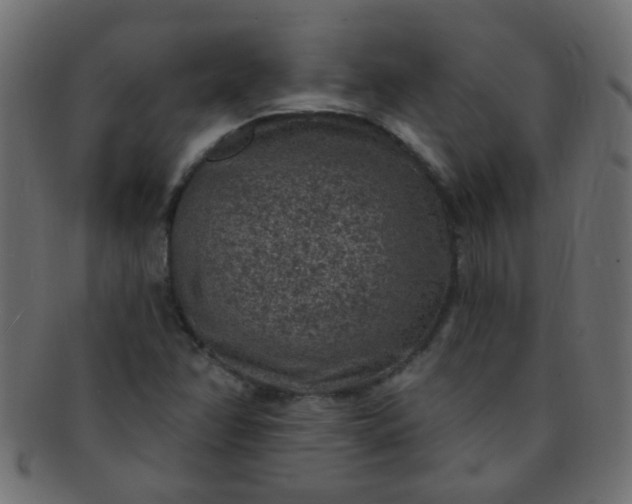 X0000091731358200709071450