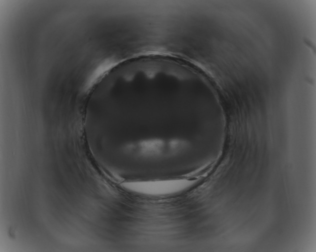 X0000091731359200709071450