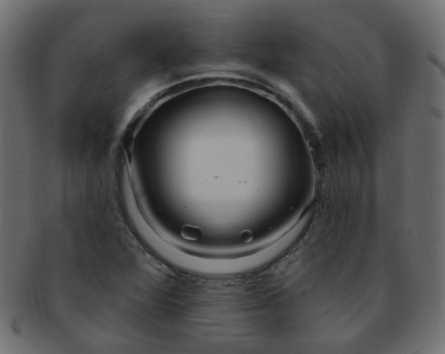 X0000091731360200709071450