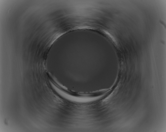 X0000091731361200709071450