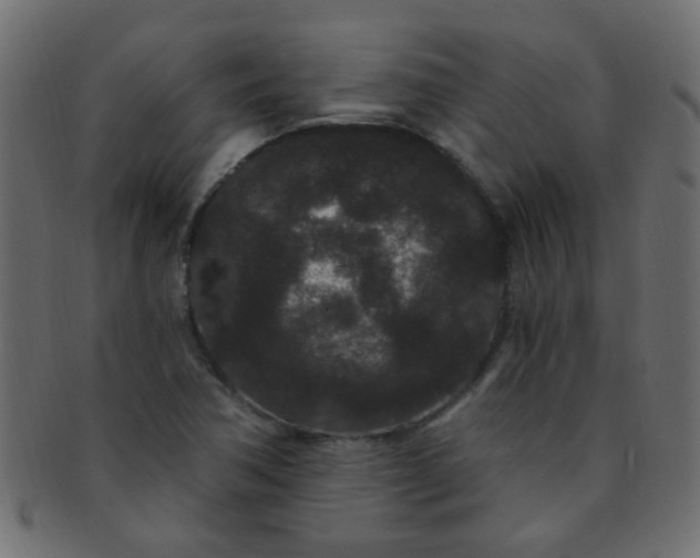 X0000091731362200709071450