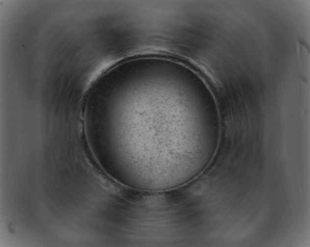 X0000091731363200709071450