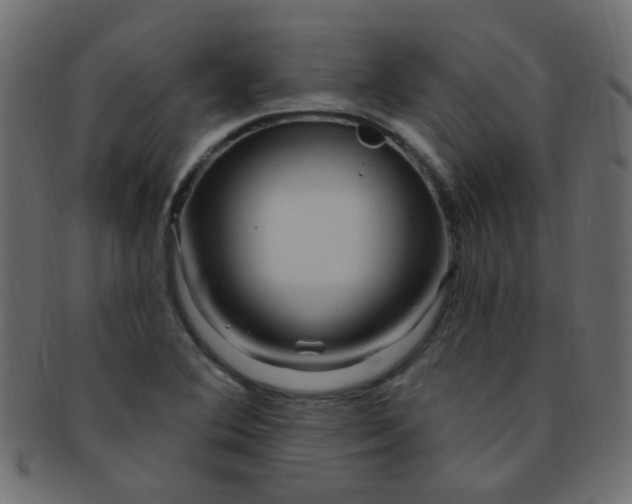 X0000091731364200709071450