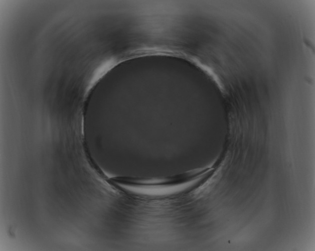 X0000091731365200709071449