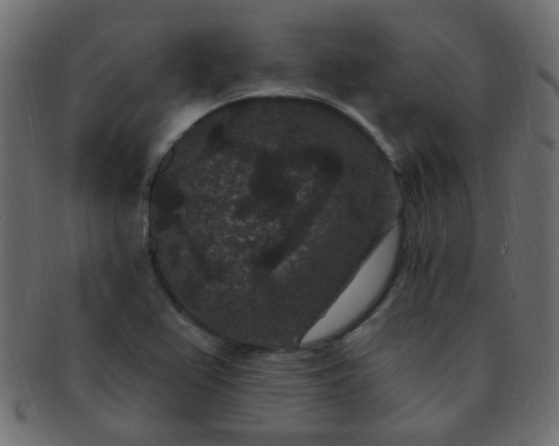 X0000091731367200709071449