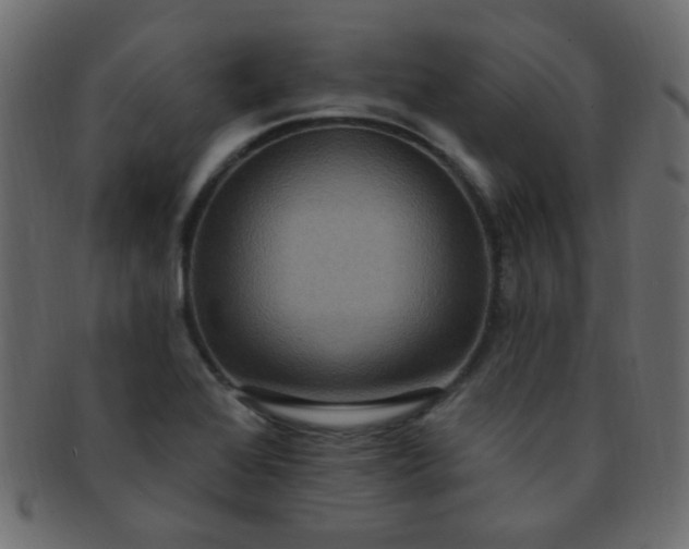 X0000091731368200709071449