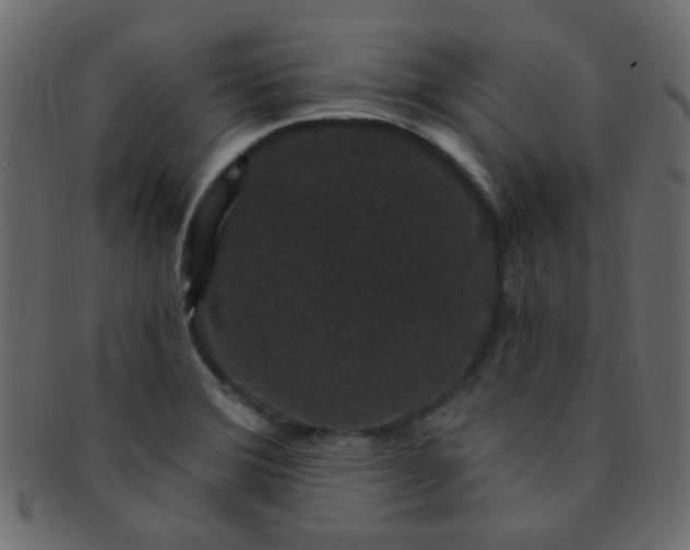 X0000091731372200709071449