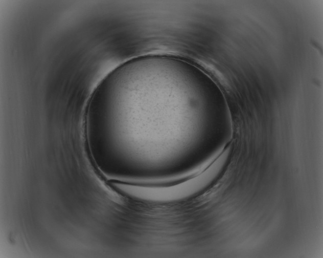 X0000091731375200709071449