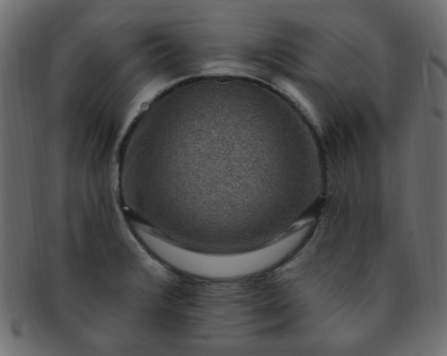 X0000091731376200709071449