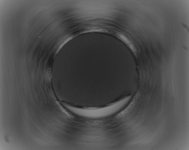 X0000091731377200709071449