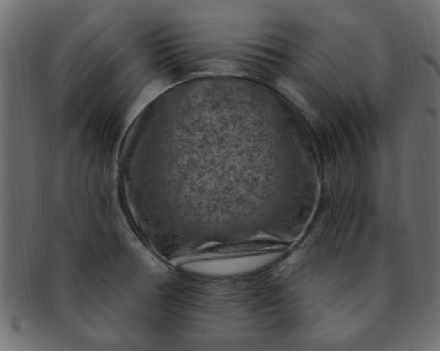 X0000091731378200709071449