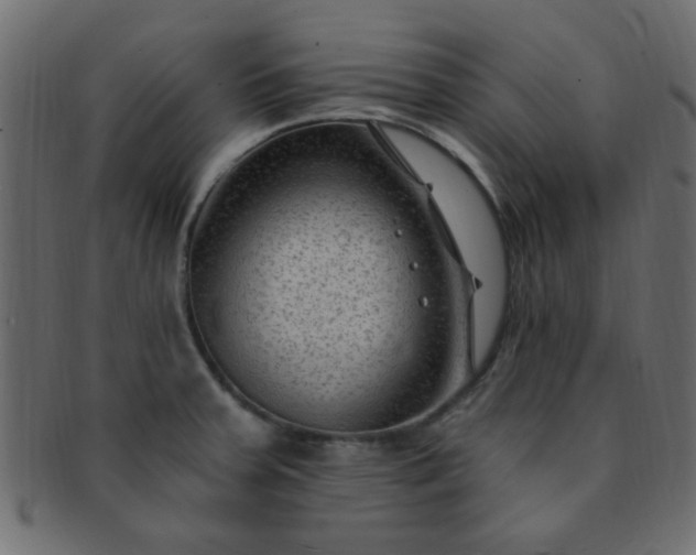 X0000091731379200709071449