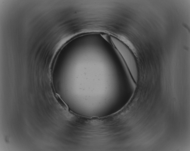 X0000091731380200709071449