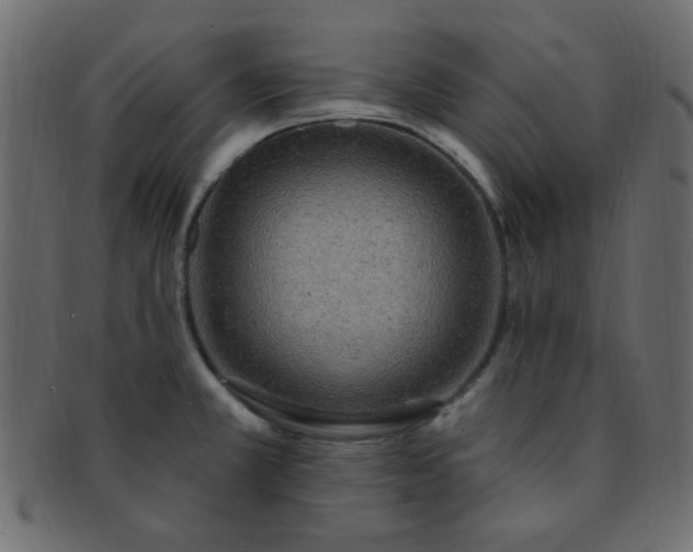 X0000091731381200709071449